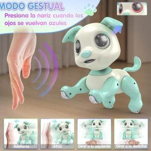 Robot Interactivo Programable